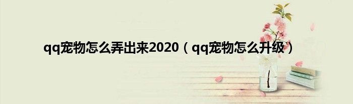 qq宠物怎么弄出来2020（qq宠物怎么升级）