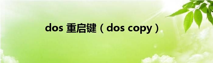 dos 重启键（dos copy）