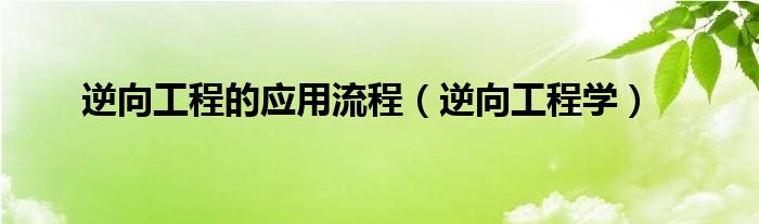 逆向工程的应用流程（逆向工程学）