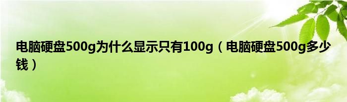 电脑硬盘500g为是什么显示只有100g（电脑硬盘500g多少钱）