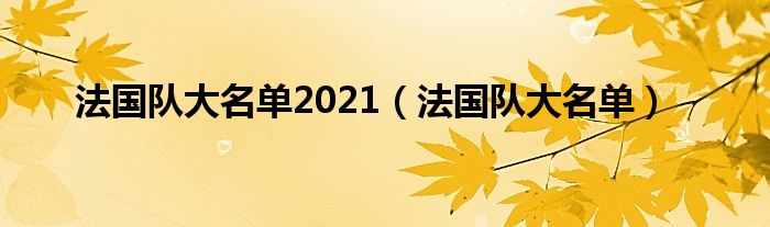 法国队大名单2021（法国队大名单）