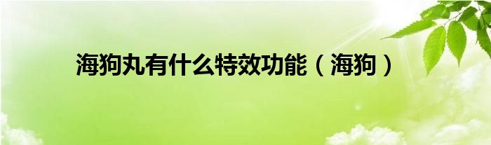 海狗丸有是什么特效功能（海狗）