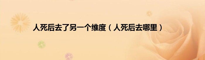 人死后去了另一个维度（人死后去哪里）