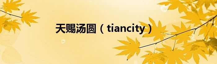 天赐汤圆（tiancity）