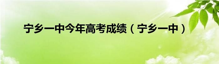 宁乡一中今年高考成绩（宁乡一中）