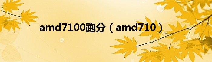 amd7100跑分（amd710）