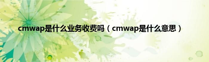 cmwap是是什么业务收费吗（cmwap是是什么意思）