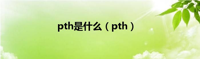 pth是是什么（pth）