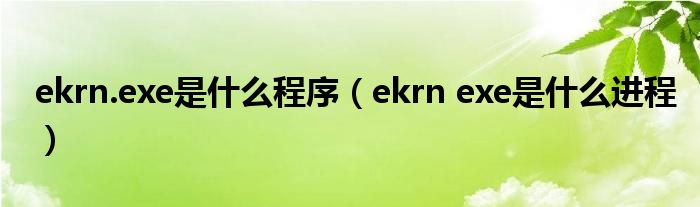 ekrn.exe是是什么程序（ekrn exe是是什么进程）