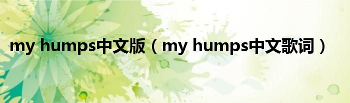 my humps中文版（my humps中文歌词）