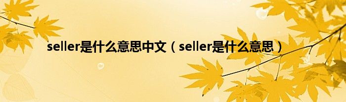 seller是是什么意思中文（seller是是什么意思）