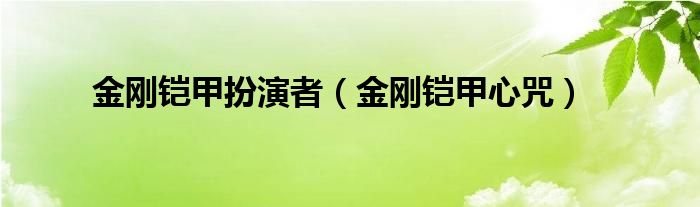 金刚铠甲扮演者（金刚铠甲心咒）