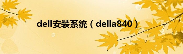 dell安装系统（della840）