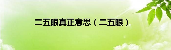 二五眼真正意思（二五眼）