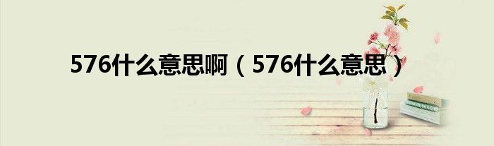 576是什么意思啊（576是什么意思）