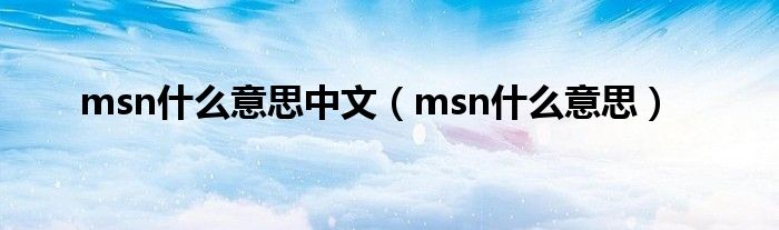 msn是什么意思中文（msn是什么意思）