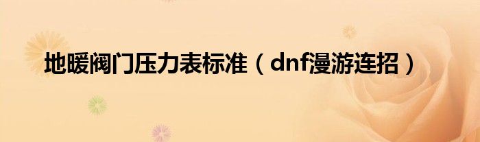 地暖阀门压力表标准（dnf漫游连招）