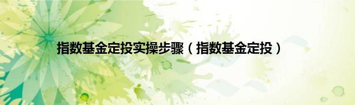 指数基金定投实操步骤（指数基金定投）