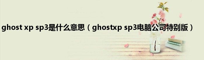 ghost xp sp3是是什么意思（ghostxp sp3电脑公司特别版）