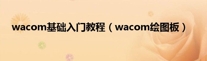 wacom基础入门教程（wacom绘图板）