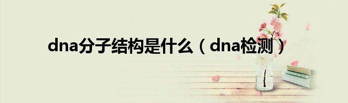 dna分子结构是是什么（dna检测）