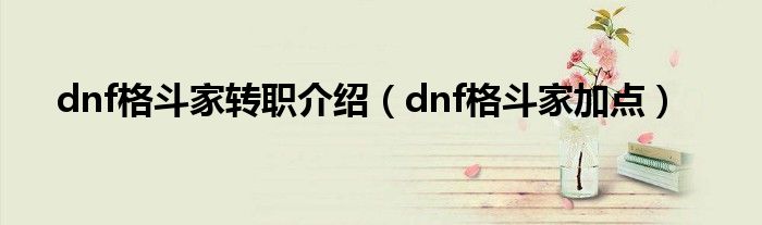 dnf格斗家转职介绍（dnf格斗家加点）