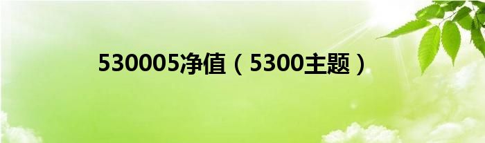 530005净值（5300主题）