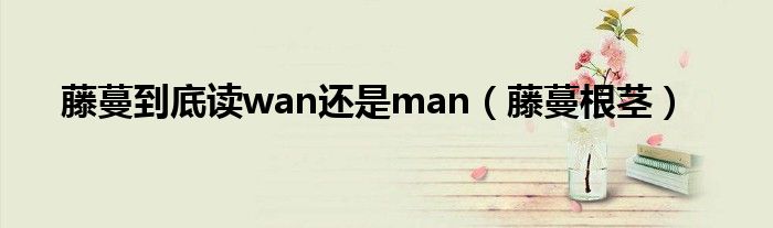 藤蔓到底读wan还是man（藤蔓根茎）