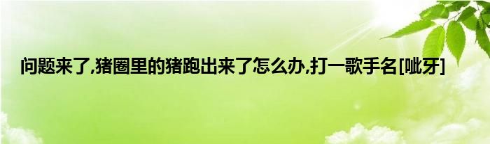 问题来了,猪圈里的猪跑出来了怎么办,打一歌手名[呲牙]