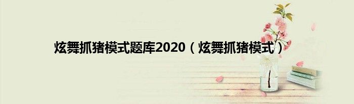 炫舞抓猪模式题库2020（炫舞抓猪模式）