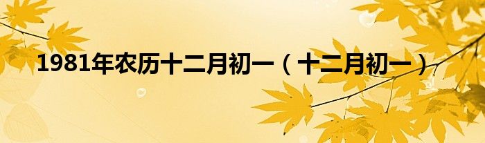 1981年农历十二月初一（十二月初一）