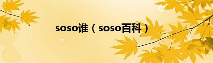 soso谁（soso百科）