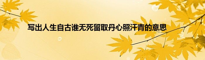 写出人生自古谁无死留取丹心照汗青的意思