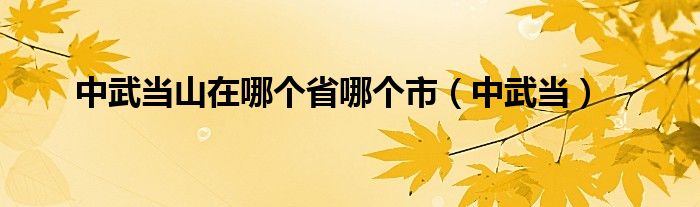 中武当山在哪个省哪个市（中武当）