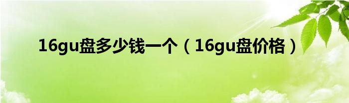 16gu盘多少钱一个（16gu盘价格）