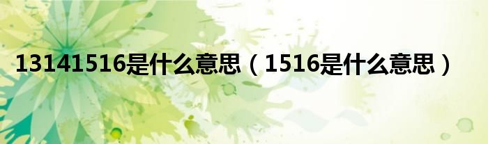 13141516是是什么意思（1516是是什么意思）