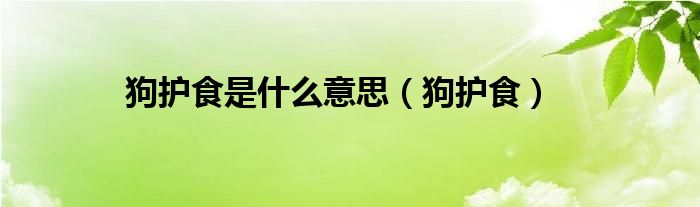 狗护食是是什么意思（狗护食）