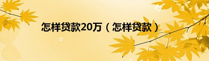 怎样贷款20万（怎样贷款）