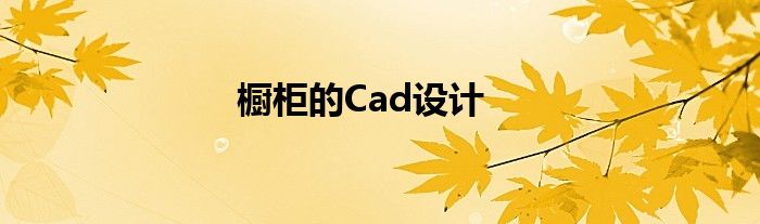 橱柜的Cad设计