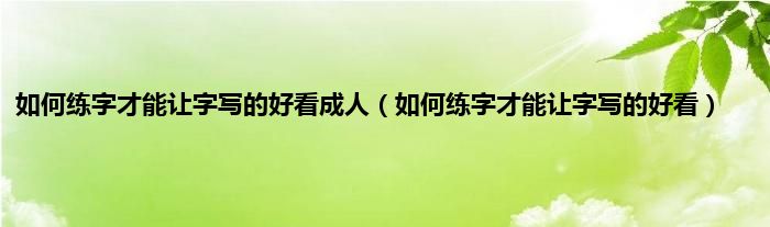 如何练字才能让字写的好看成人（如何练字才能让字写的好看）