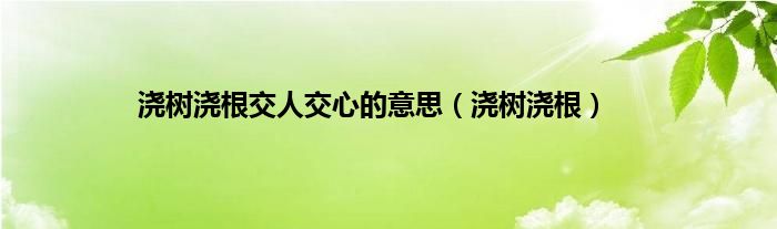 浇树浇根交人交心的意思（浇树浇根）