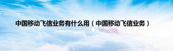 中国移动飞信业务有是什么用（中国移动飞信业务）