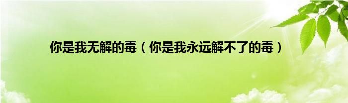 你是我无解的毒（你是我永远解不了的毒）