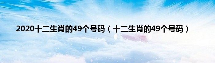 2020十二生肖的49个号码（十二生肖的49个号码）