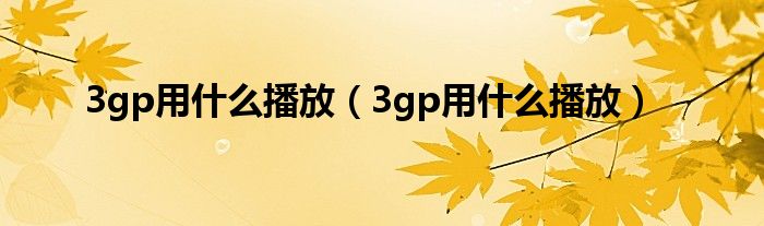 3gp用是什么播放（3gp用是什么播放）