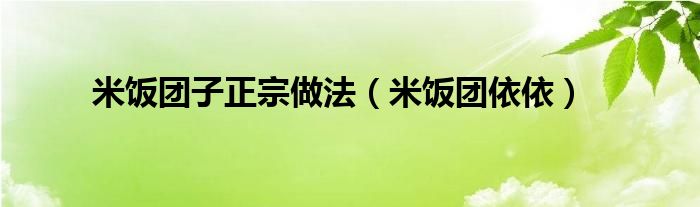 米饭团子正宗做法（米饭团依依）