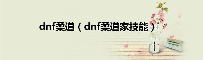 dnf柔道（dnf柔道家技能）