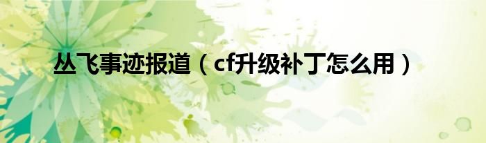 丛飞事迹报道（cf升级补丁怎么用）