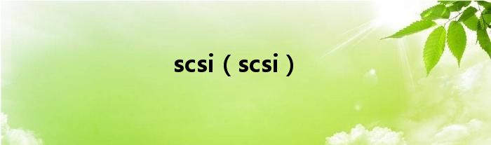 scsi（scsi）