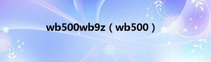 wb500wb9z（wb500）